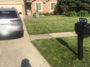 Katan W.'s turf care service result