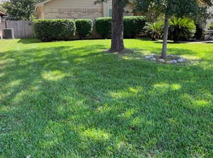 Antis G.'s turf maintenance service result