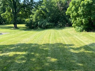 Sharon S.'s lawn care services service result