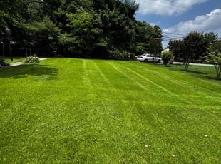 Aaron A.'s grass cutting service result