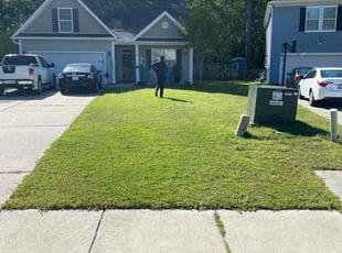 Rachel D.'s lawn care services service result