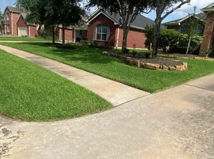 Greg P.'s turf maintenance service result