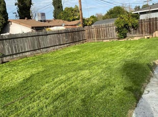 Sam G.'s lawn service service result
