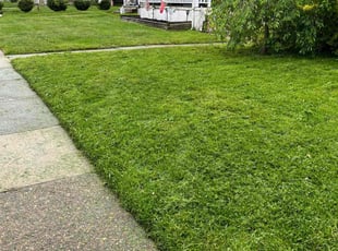 Bernard B.'s grass cutting service result