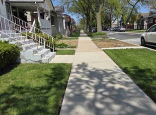 Dianne W.'s lawn service service result