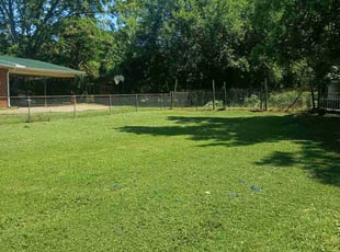 Brian M.'s lawn care service result