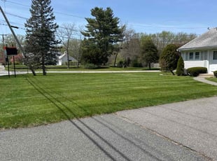 David Y.'s turf maintenance service result