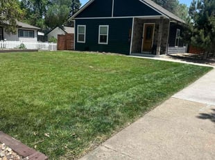 Katie C.'s turf maintenance service result