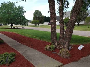 Alpay H.'s grass cutting service result