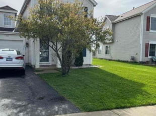 Harry D.'s lawn service service result