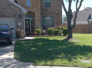 Holly M.'s grass maintenance service result