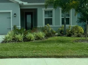 Tricia B.'s grass maintenance service result