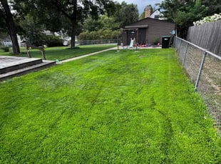 Carol M.'s residential landscaping service result