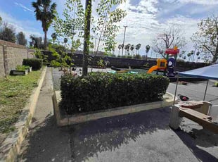 Lisa H.'s Bush Trimming service result