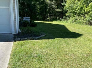 Suzanne H.'s lawn care services service result