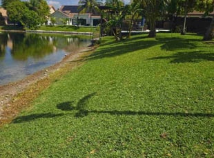 Lonny A.'s lawn service service result