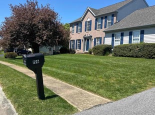 Danielle J.'s lawn service service result