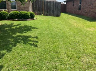 Melissa E.'s lawn service service result