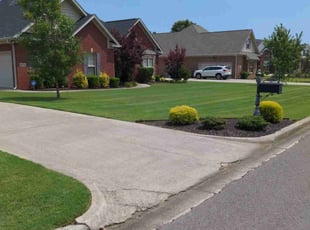 John L.'s turf care service result