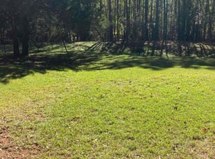 Jonathan W.'s grass maintenance service result