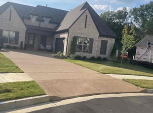 Carlos Z.'s grass cutting service result