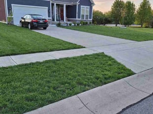 Ryan C.'s lawn care service result