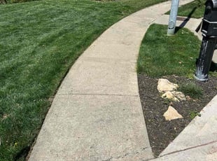 Sherry M.'s grass cutting service result