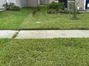 Don T.'s lawn service service result