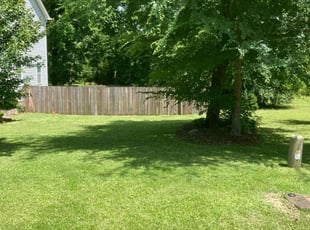 Darryl S.'s grass maintenance service result