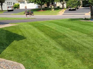 Kristen S.'s lawn care services service result