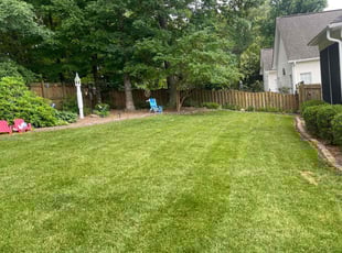 Dan G.'s yard work service result
