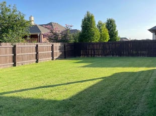 Ceasar A.'s turf care service result