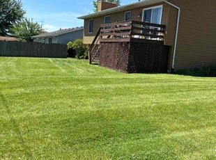 Sarah P.'s lawn care services service result