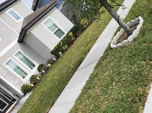 Bryan E.'s yard work service result