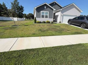 Jaqaseia S.'s lawn care service result