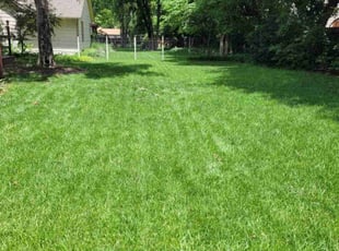 Lawanda M.'s turf maintenance service result