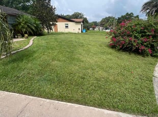 Dayton H.'s lawn service service result