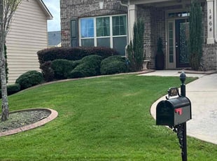 Tzvetelina A.'s turf maintenance service result