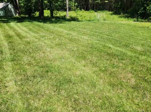 Cheryl G.'s grass maintenance service result