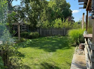 Artamease G.'s grass cutting service result