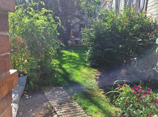 Mallory B.'s lawn care service result
