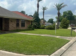 Danette B.'s lawn care service result