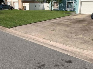 Lindsey M.'s grass maintenance service result