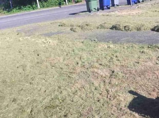 James S.'s lawn service service result