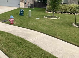 Mary I.'s grass cutting service result