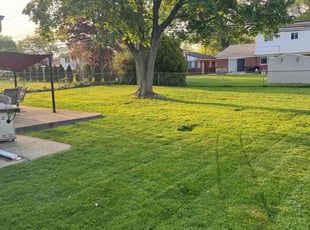 Spencer T.'s lawn service service result