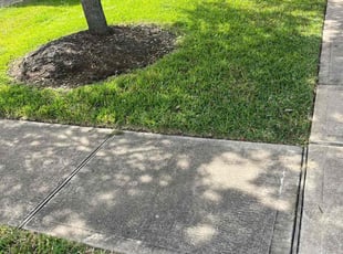 Frederick H.'s Long Grass Cleanup service result