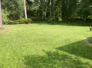 Mildred R.'s turf maintenance service result