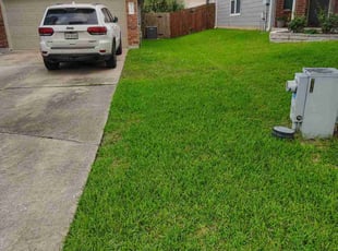 Matt C.'s grass cutting service result