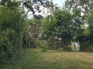 Ruth B.'s Bush Trimming service result